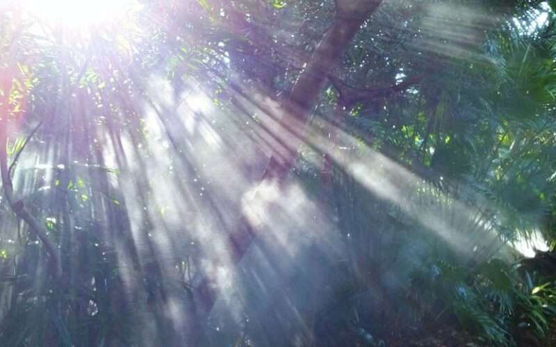 Rays of divine illumination remind us of what saints and mystics have revealed